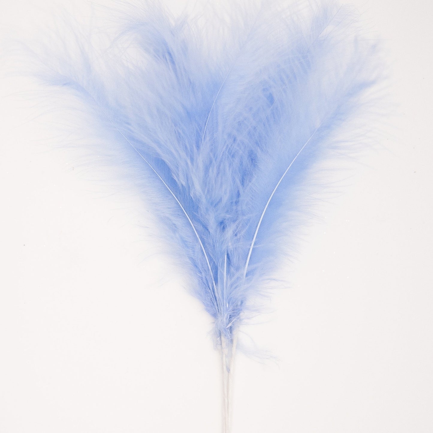 Blue Feather Topper