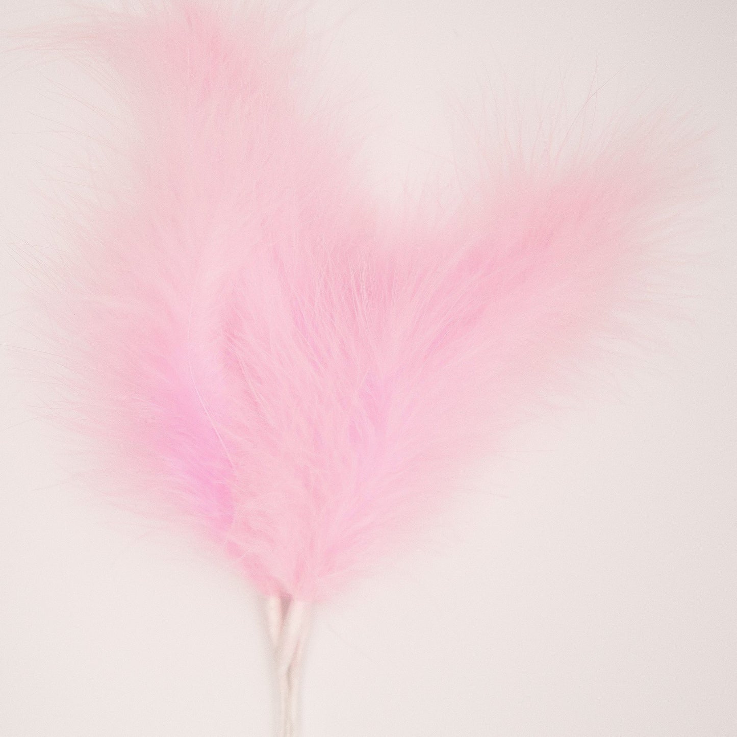 Pink Feather Topper