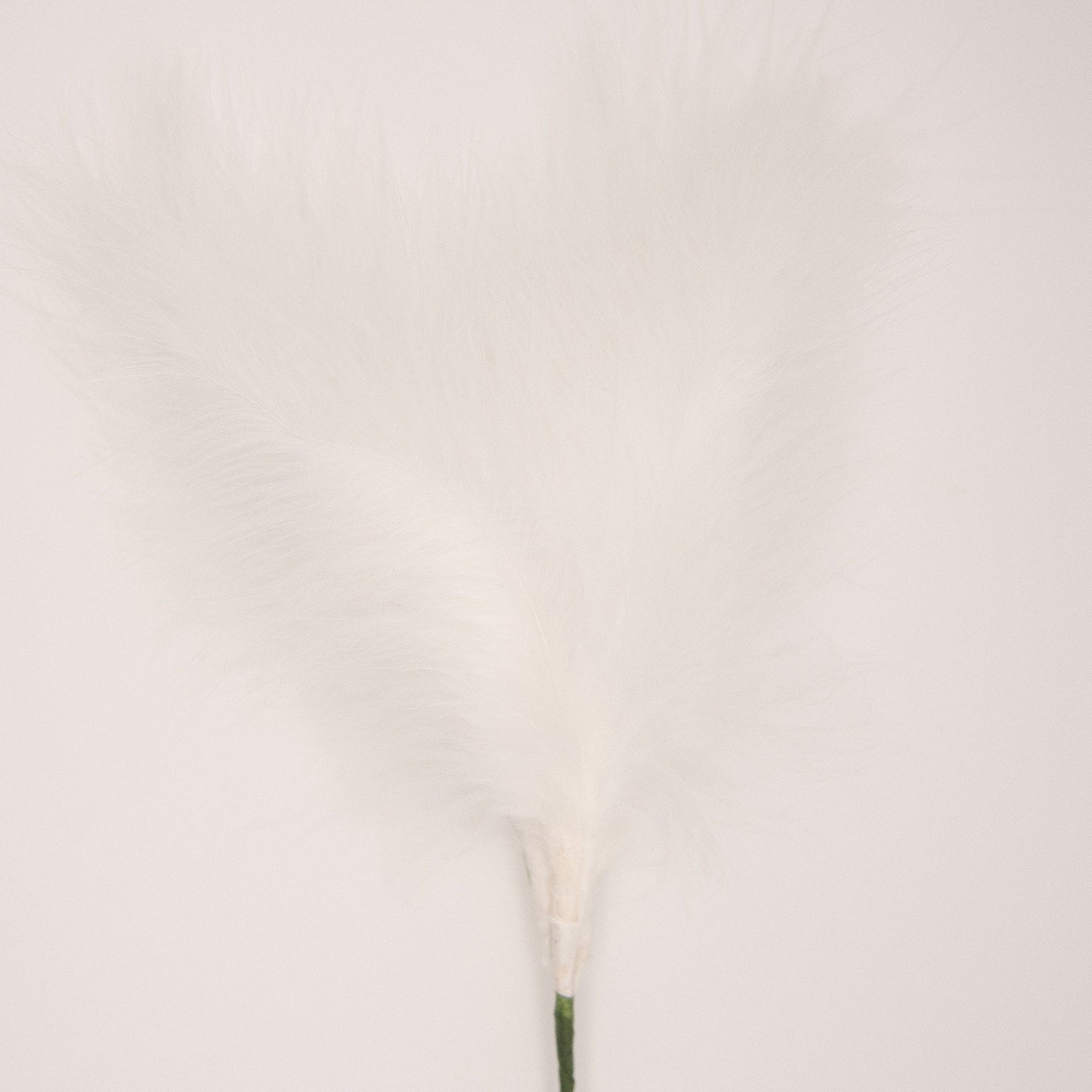 White Feather Topper