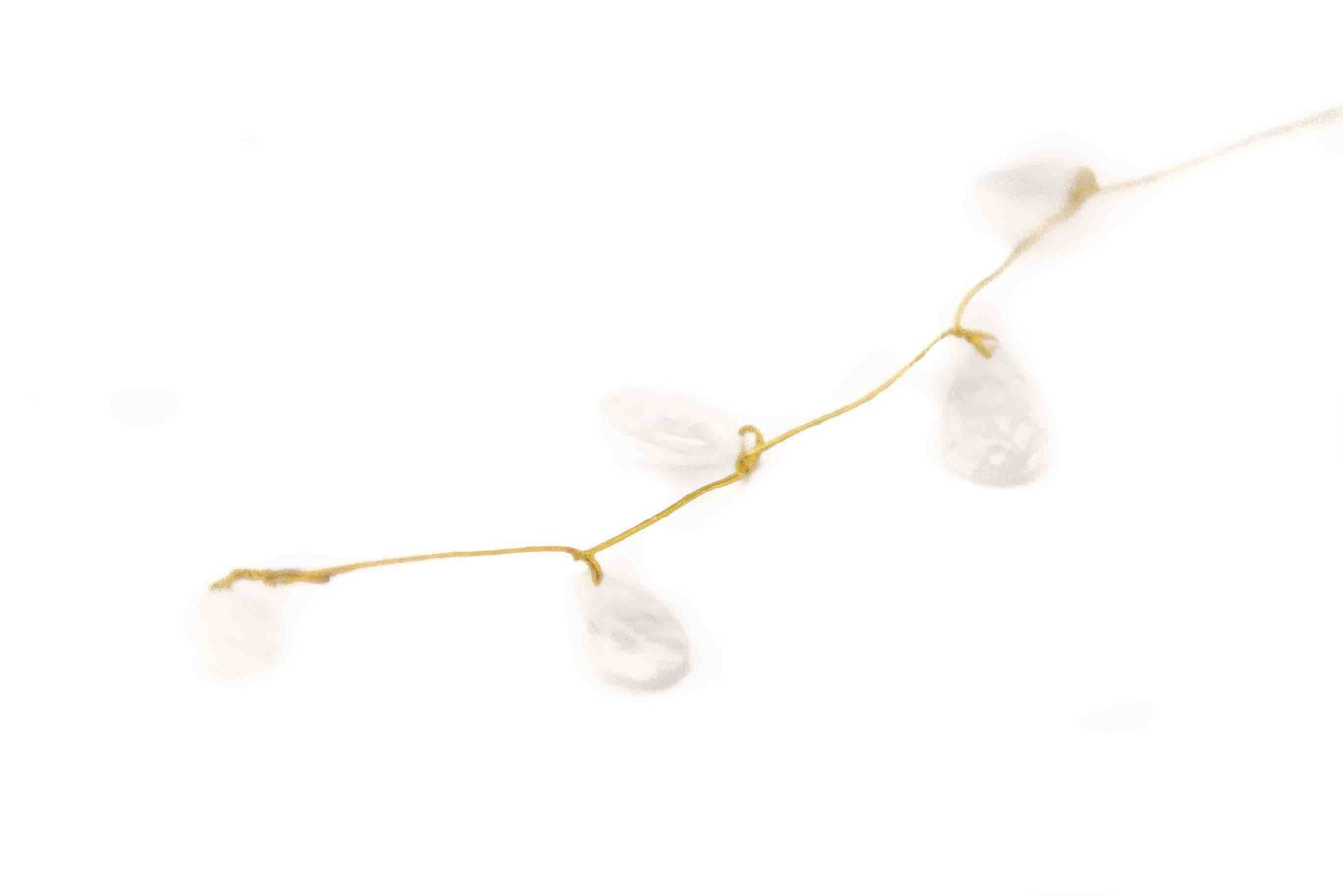 White Cake Gems on Gold Stems