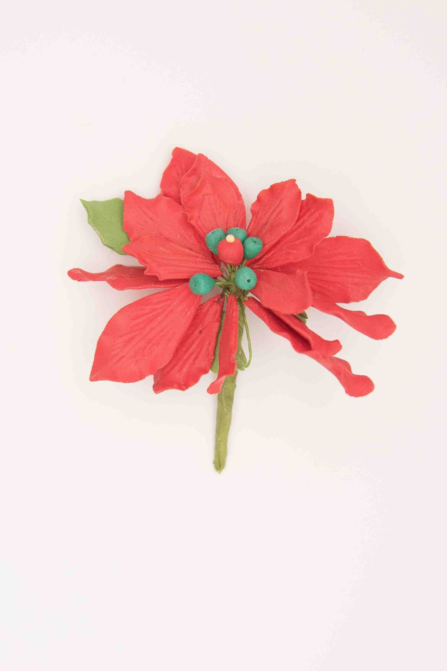Poinsettia Flower