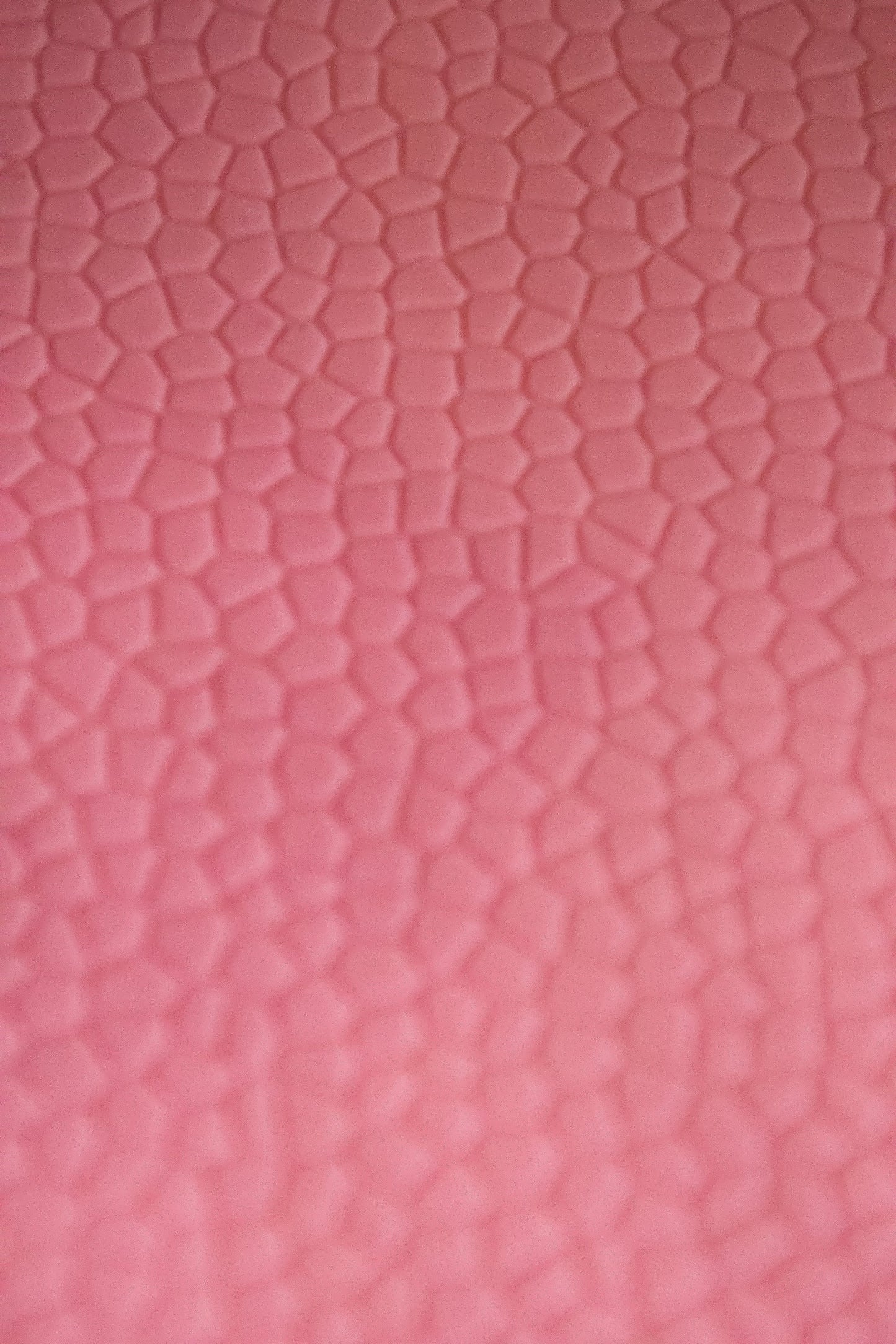 Cake Lace - Snake Skin