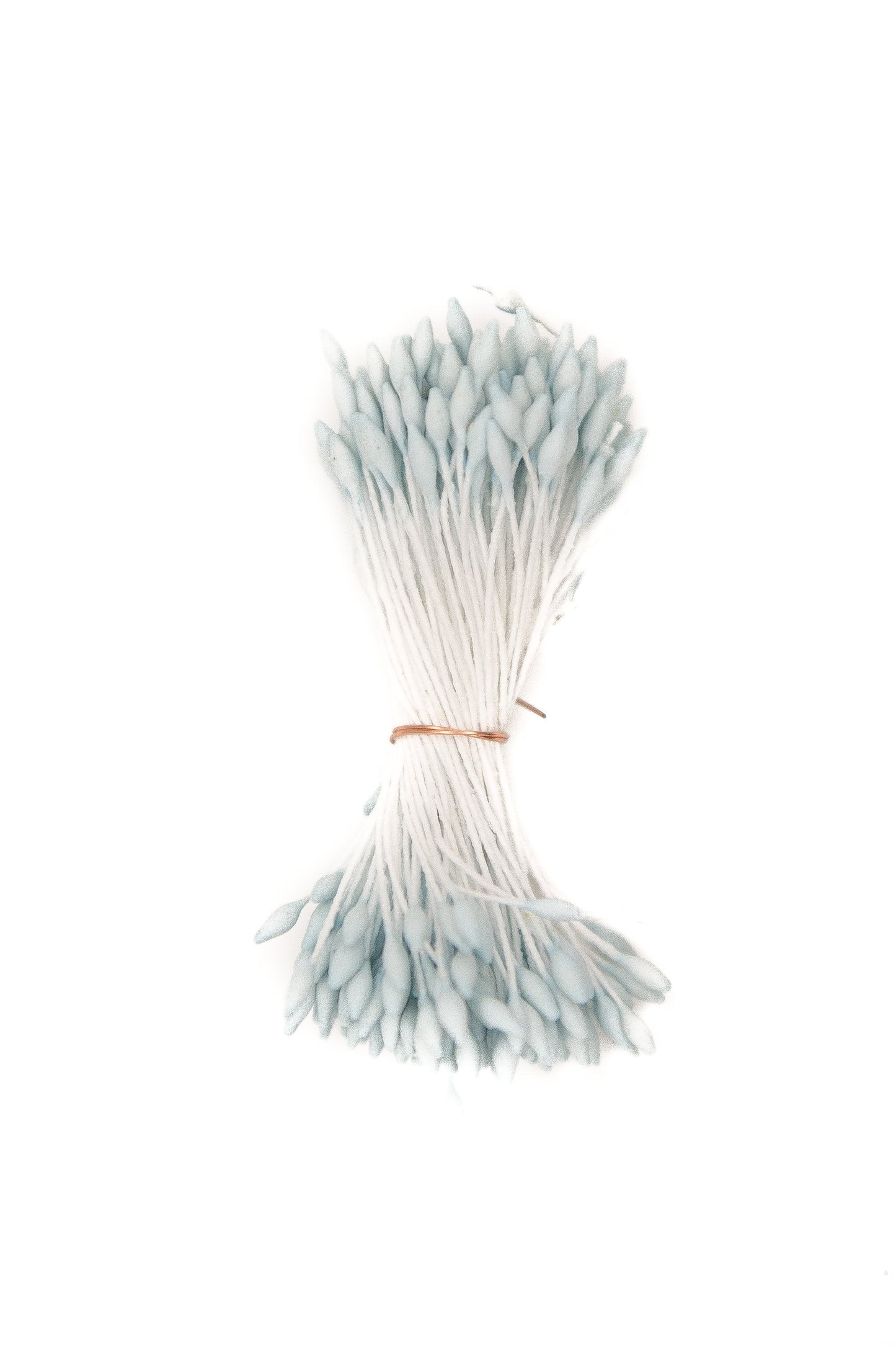 Small Blue Pointed Stamen