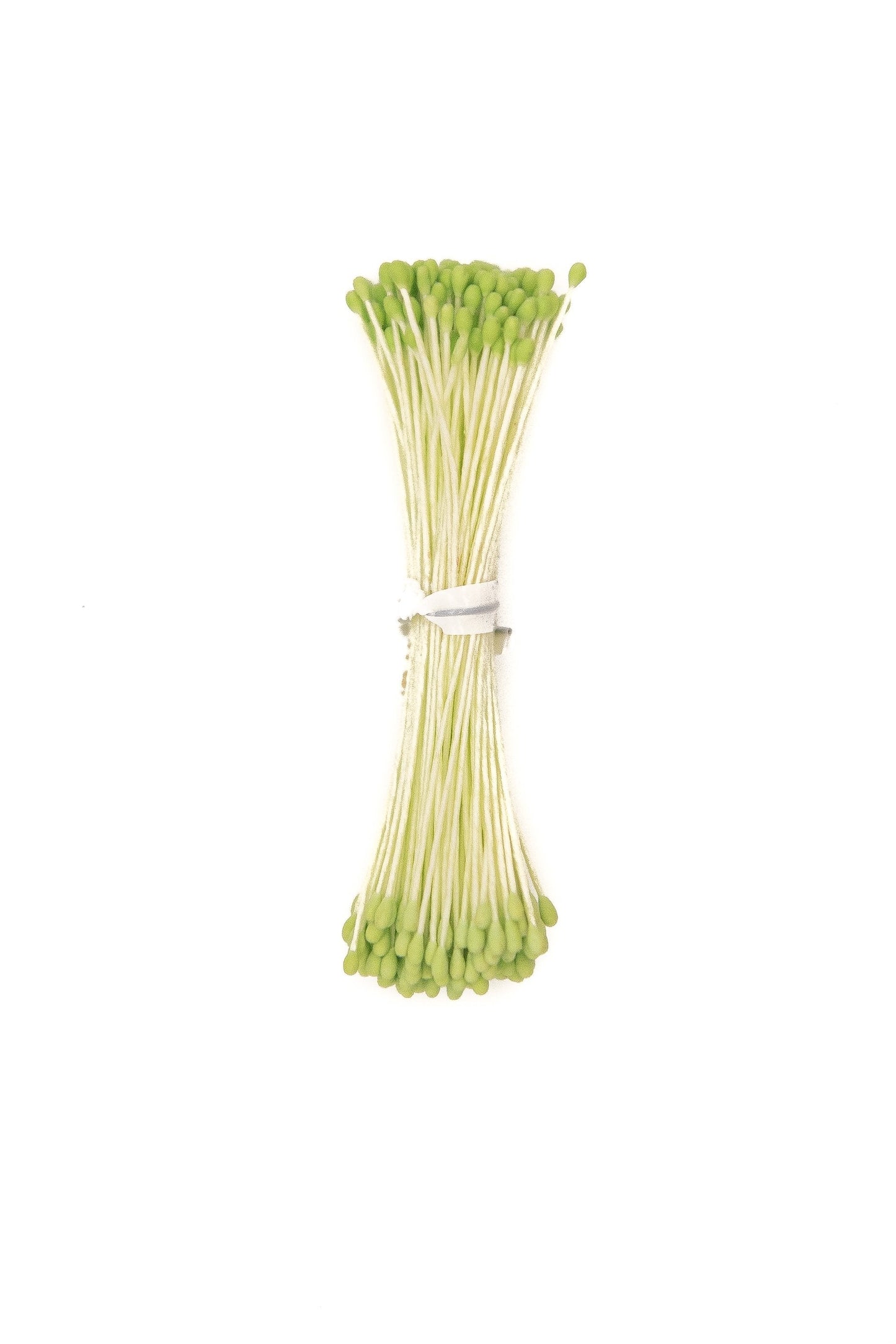 Small Green Rounded-Head Stamens.