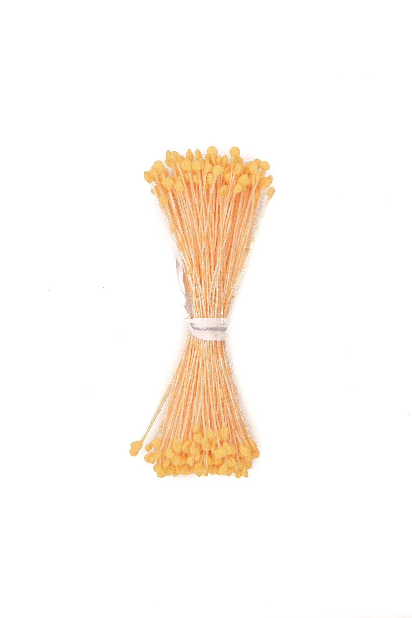 Bright Yellow Small Rounded-Head Stamens