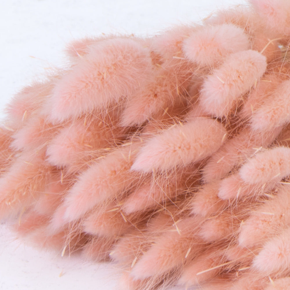 Pink Bunny Tails