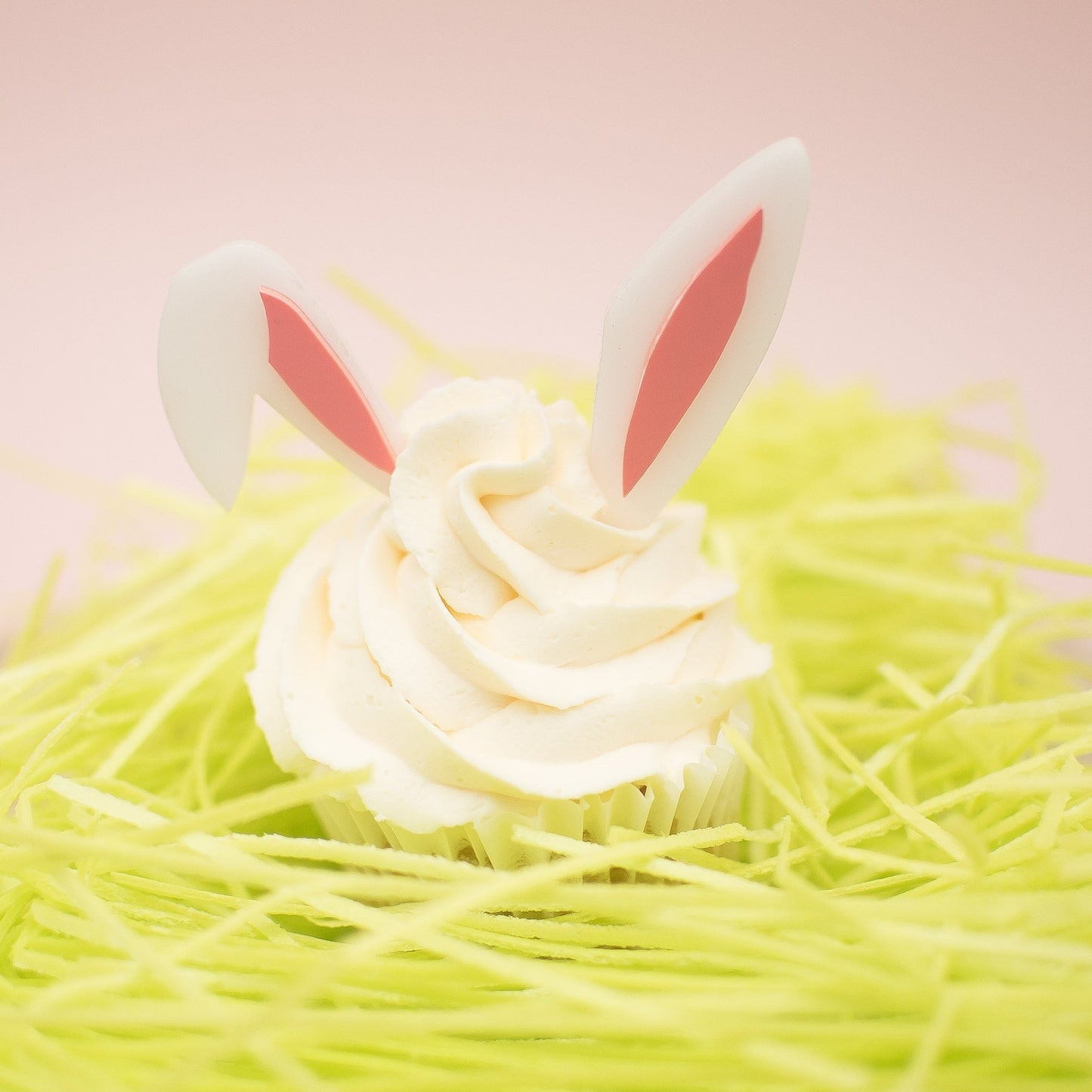 Acrylic Bunny Ears
