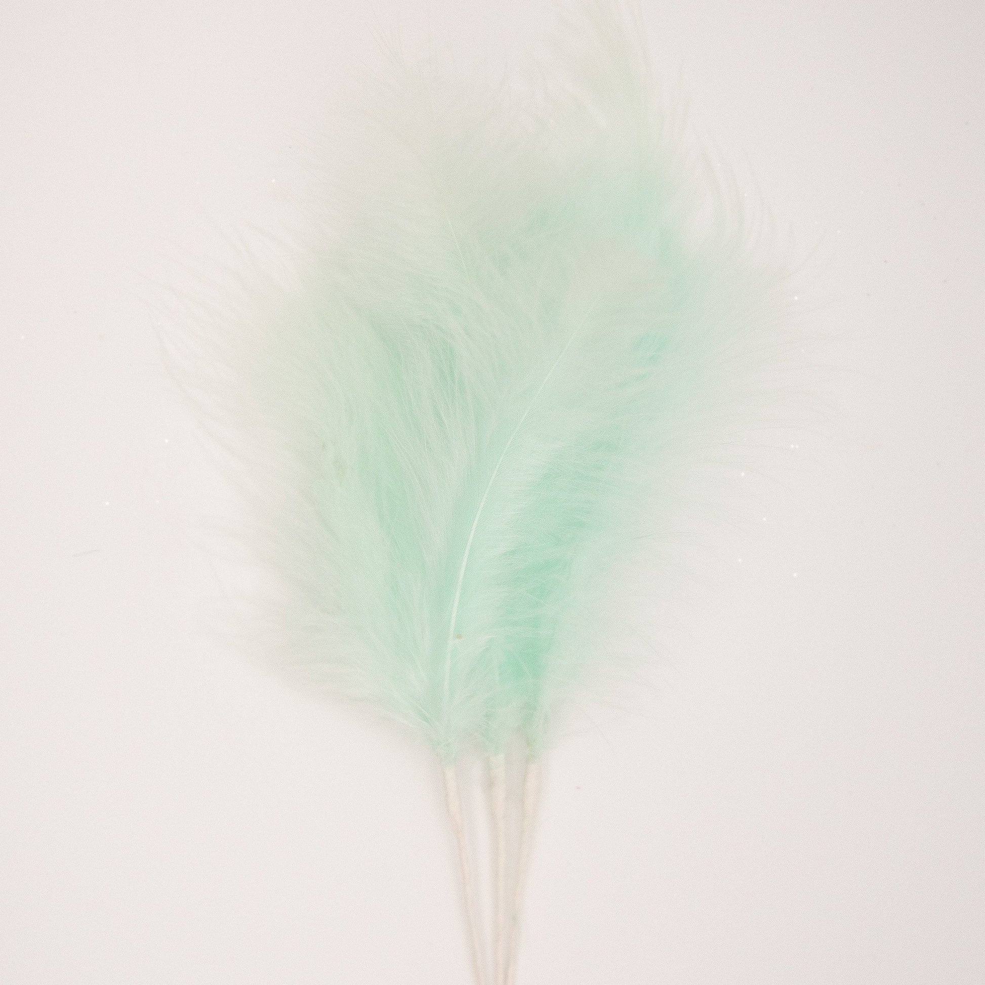 Green Feather Topper
