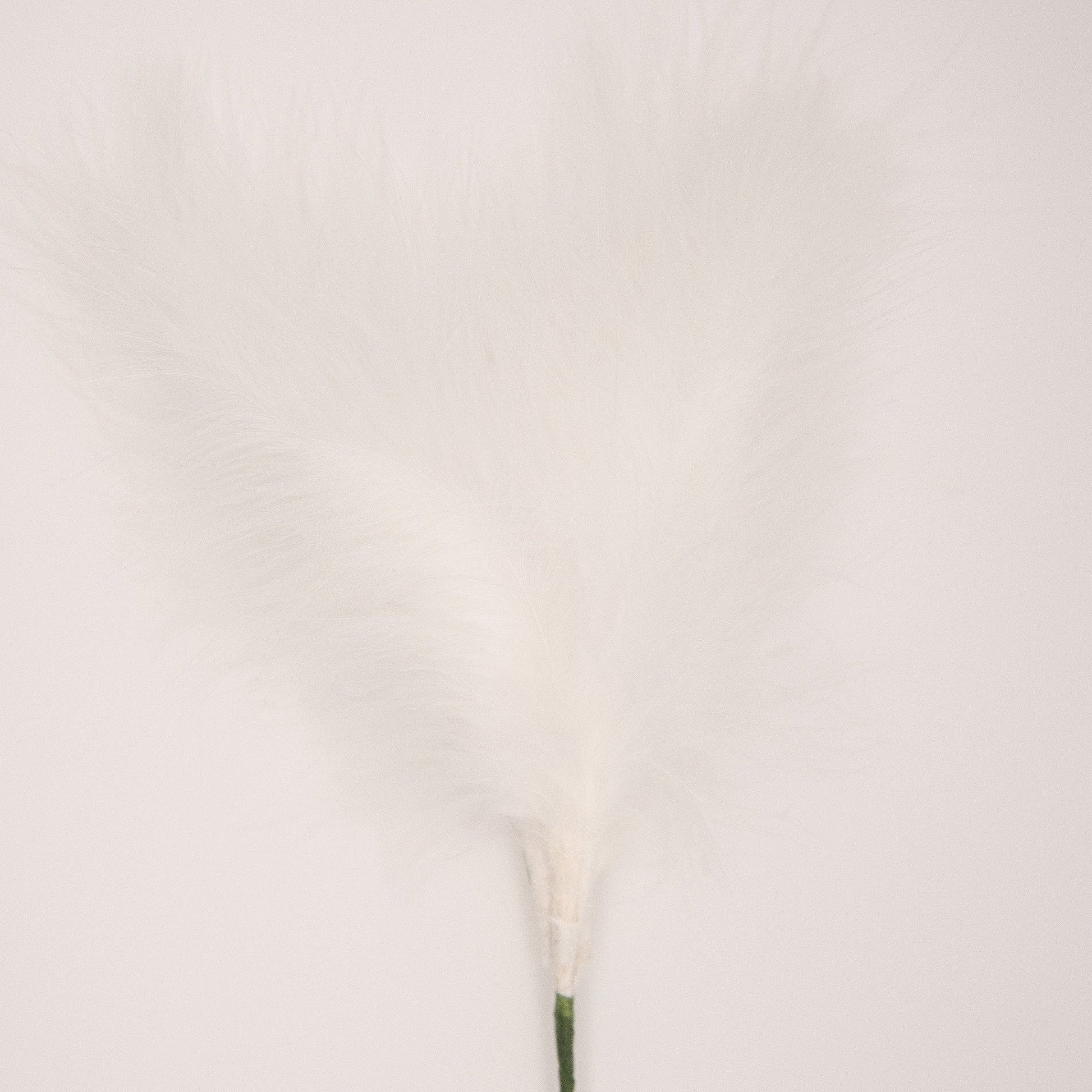 White Feather Topper