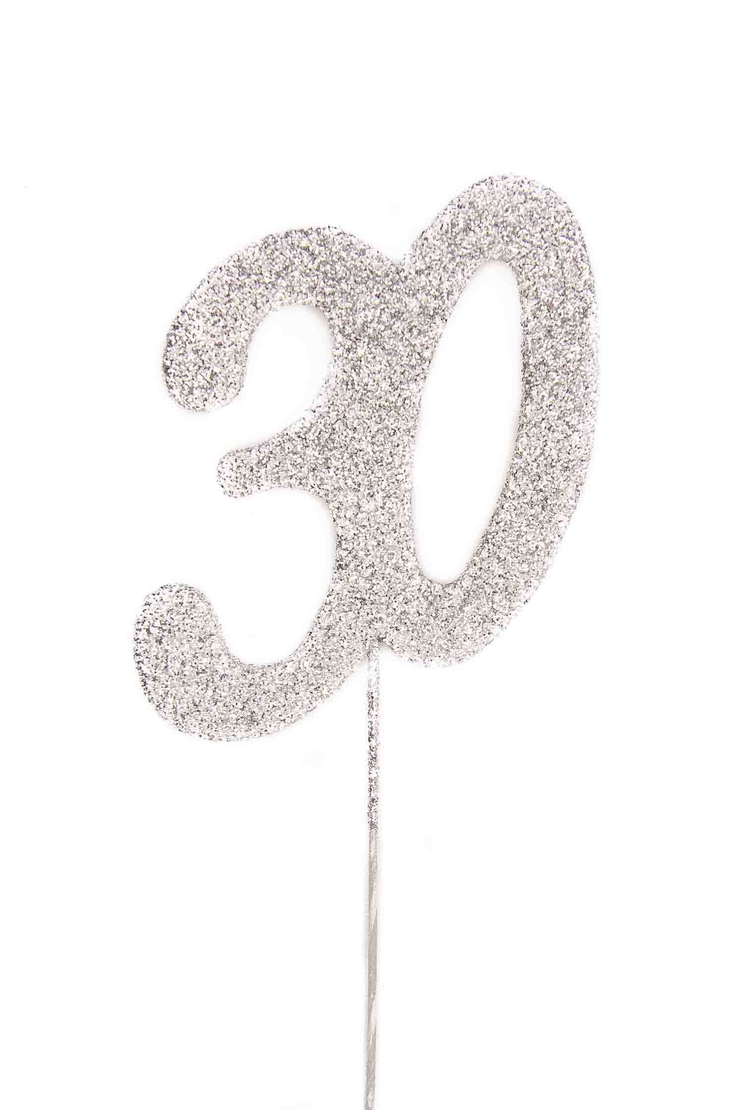 Silver Glitter Picks: Number 30