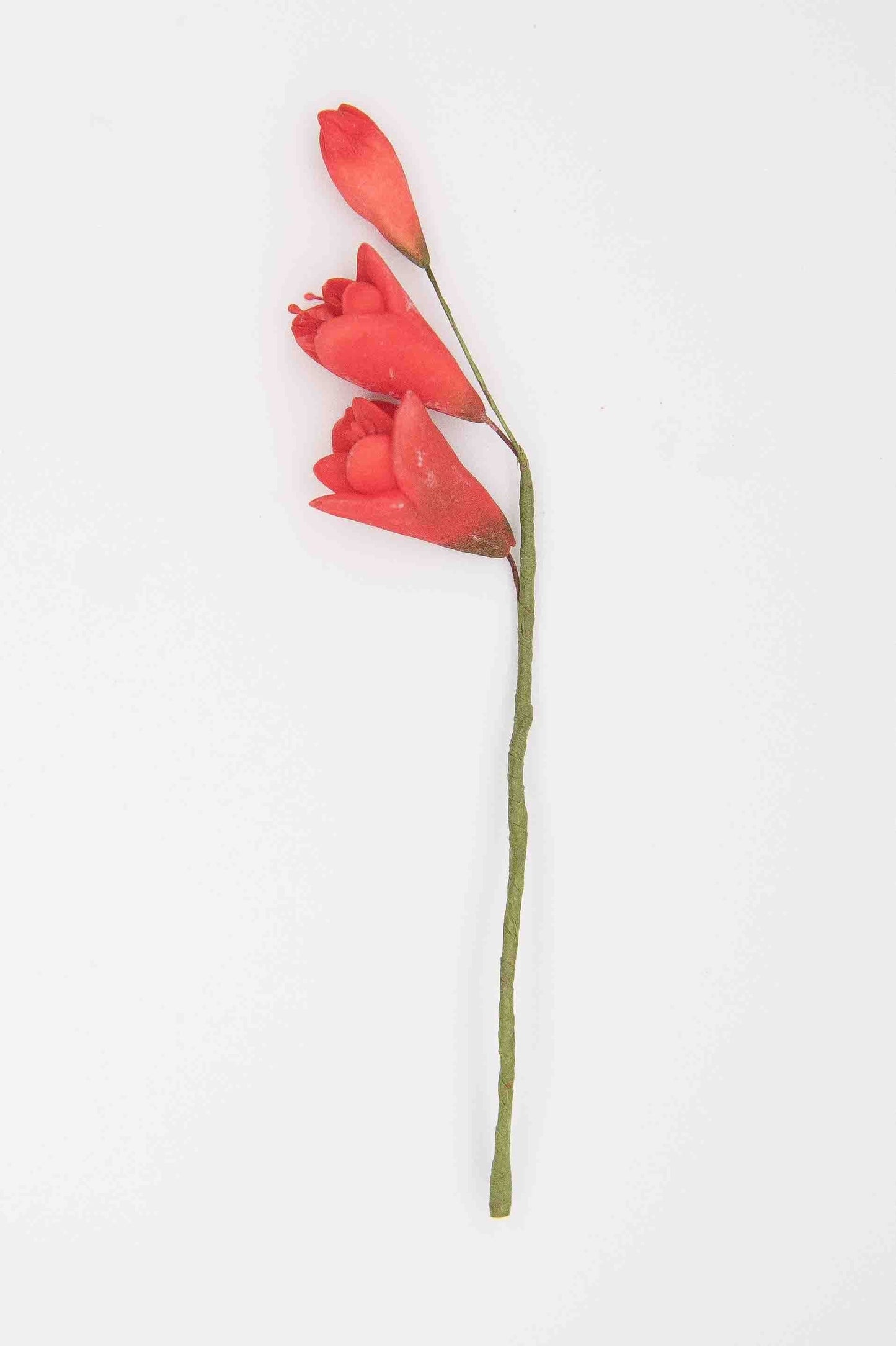 Red Gum Paste Spray Freesia