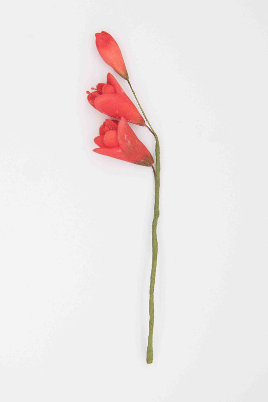 Red Gum Paste Spray Freesia
