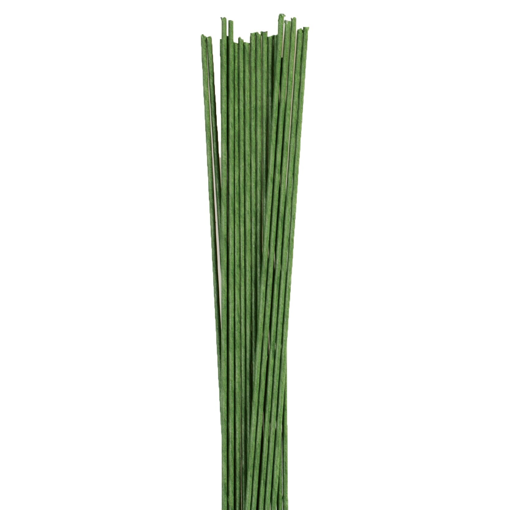 Cel Cakes 14g Green Floral Wire