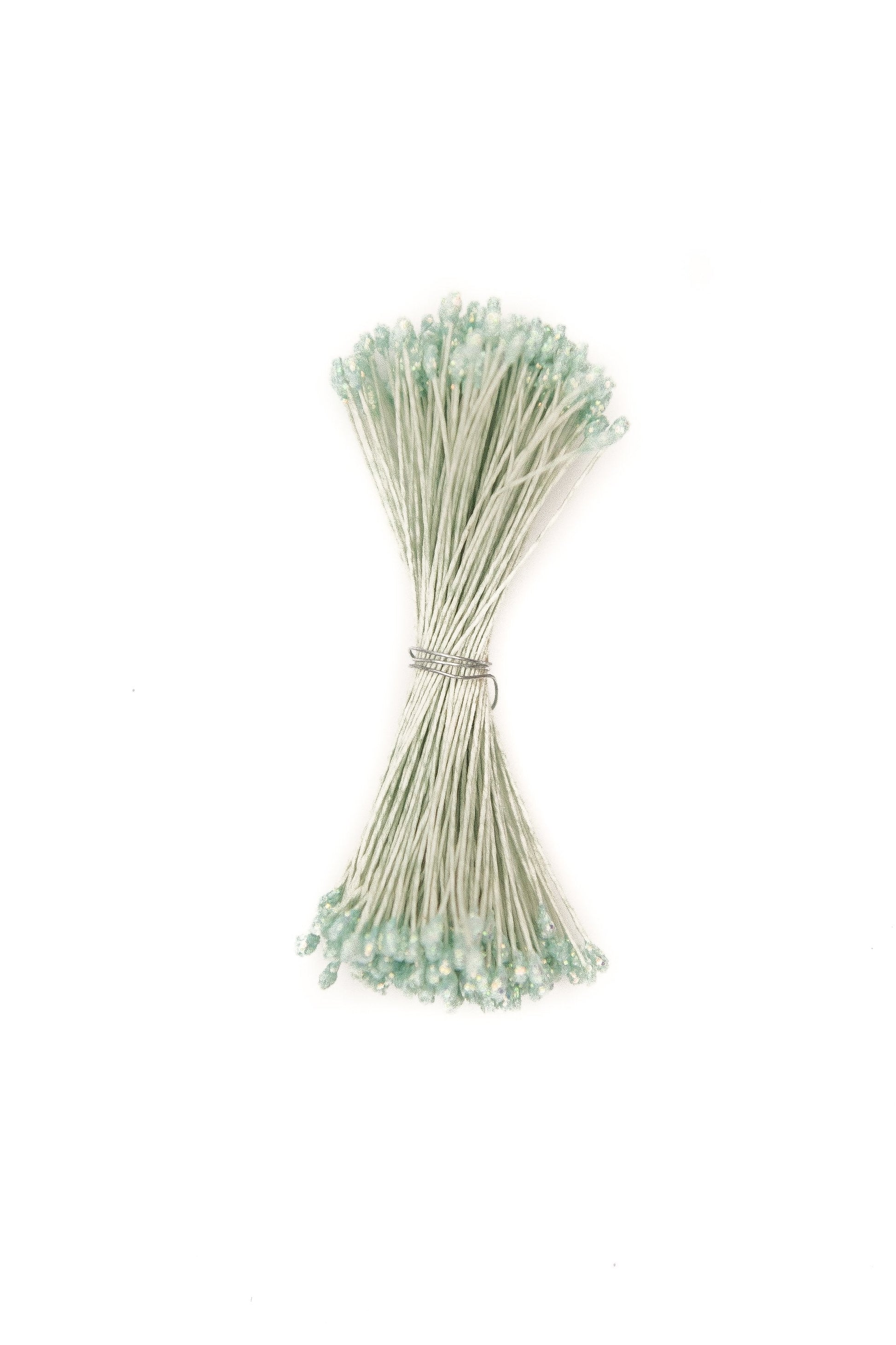 Green Small Stamens with a Green Shimmer Head