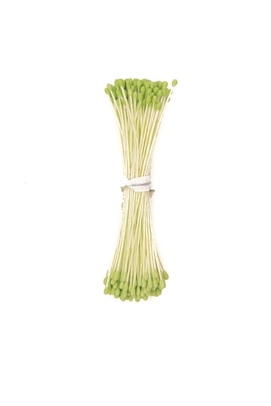 Small Green Rounded-Head Stamens.