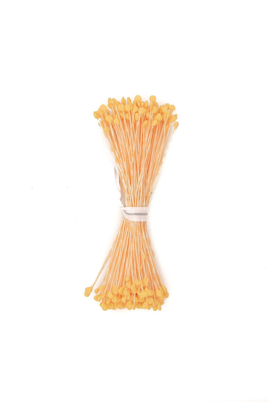 Bright Yellow Small Rounded-Head Stamens