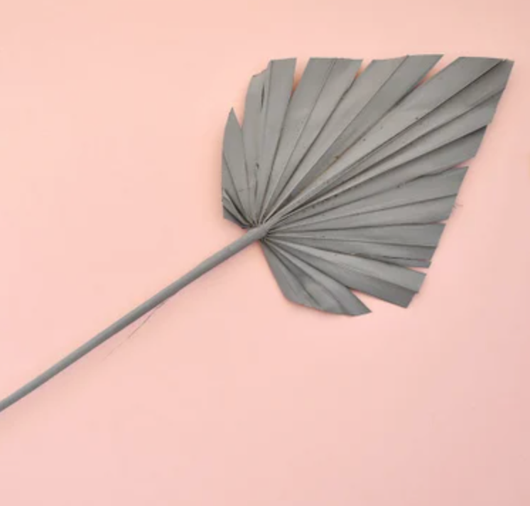 Palm Leaves - Grey