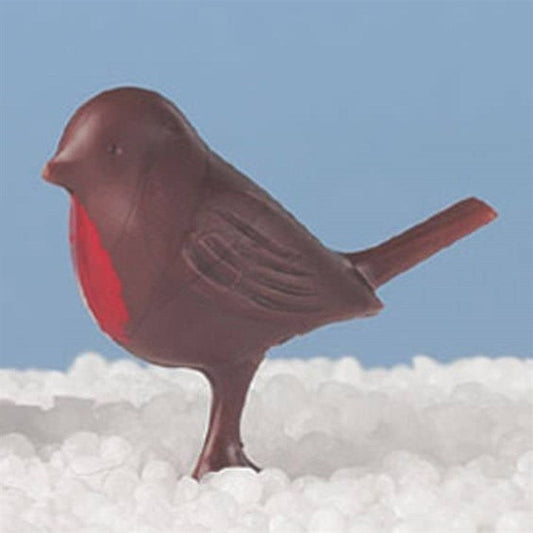Brown/ Dark Brown Robin